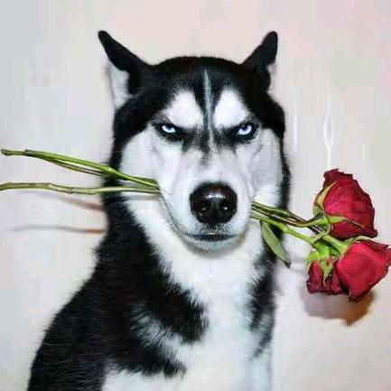 穷的很稳定⁹¹⁸⁸