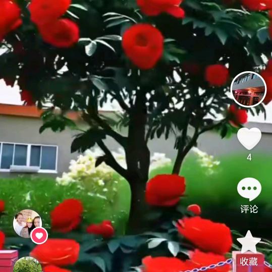 贪玩🍓🍓🍓😍😘