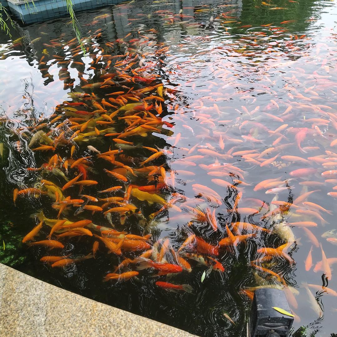 我是蓝天白云