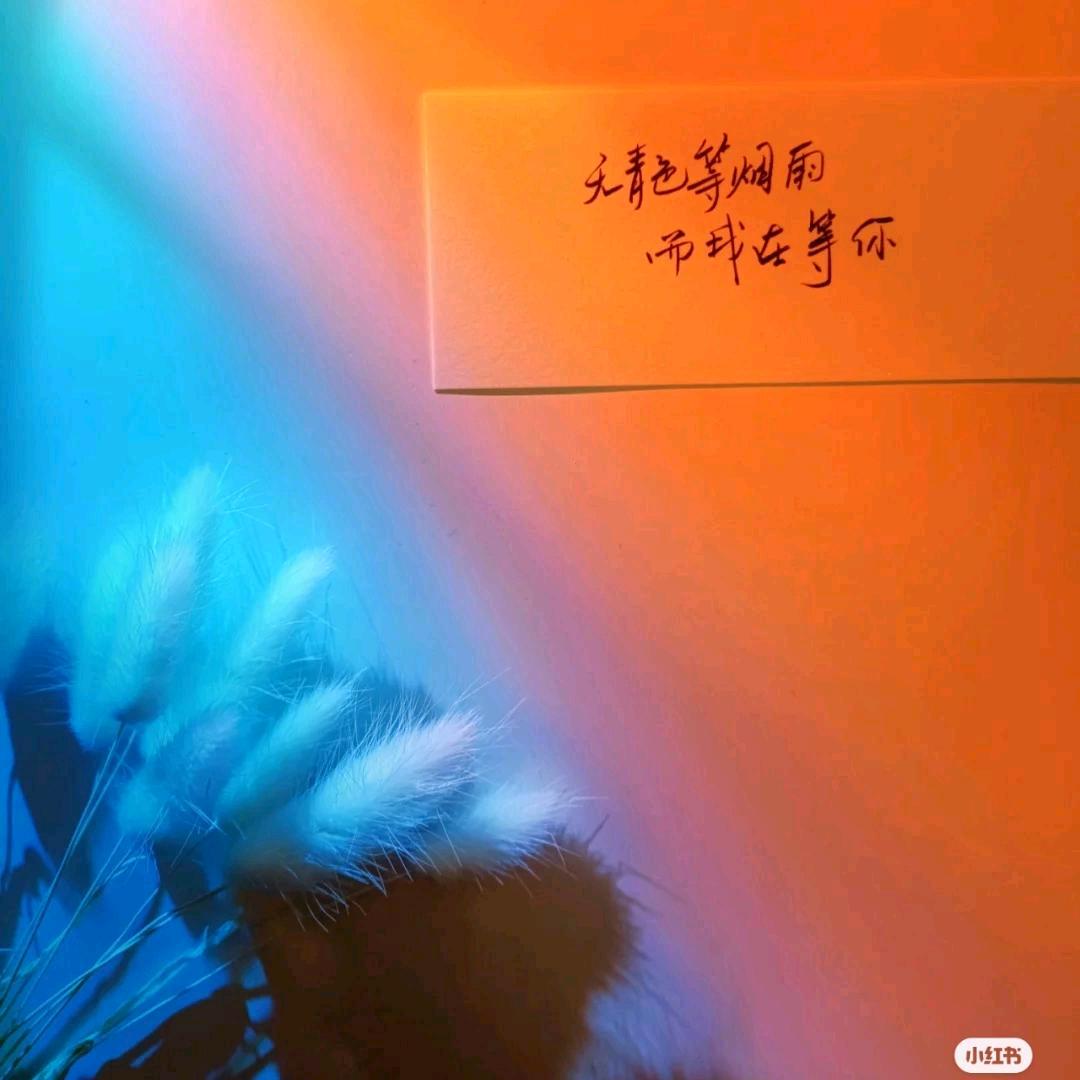 西西爱生活