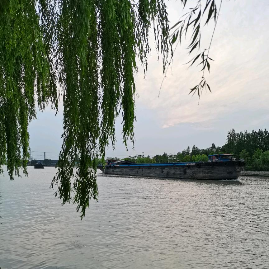 顺其自然好