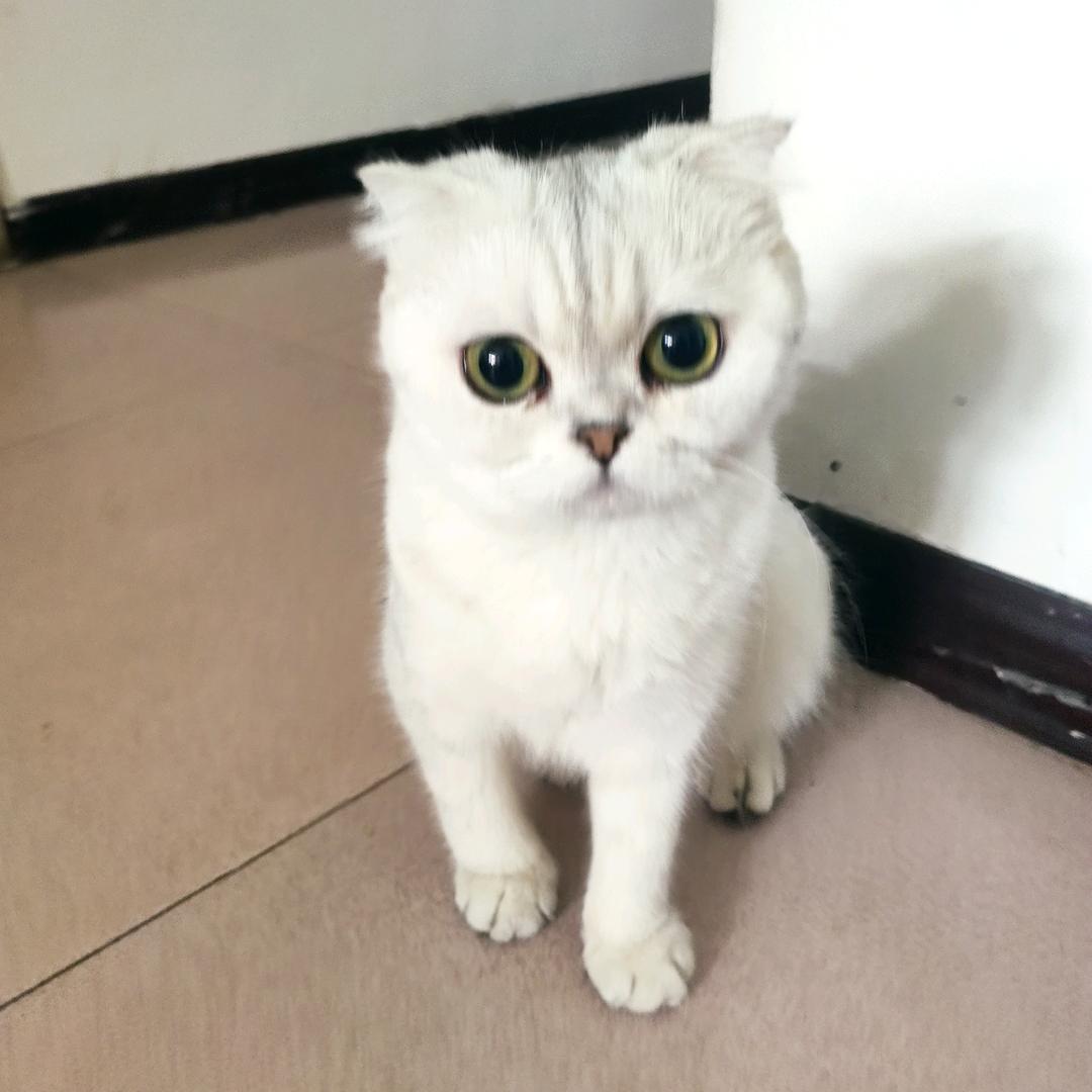 才