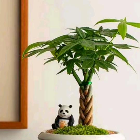 人在江湖