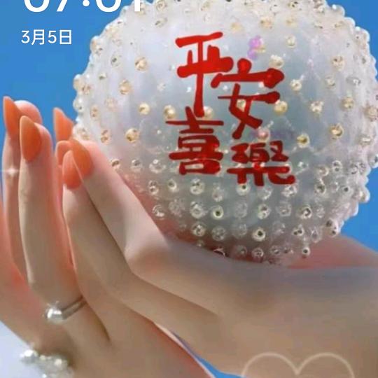 沙轮玫瑰