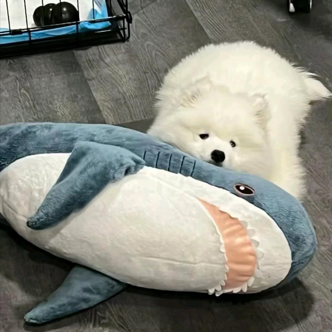 他，眼底清澈