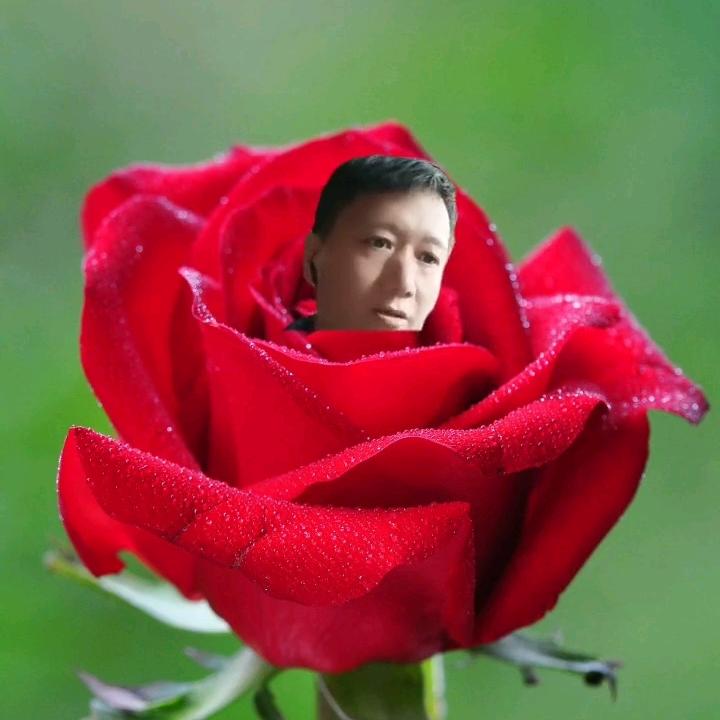 念人