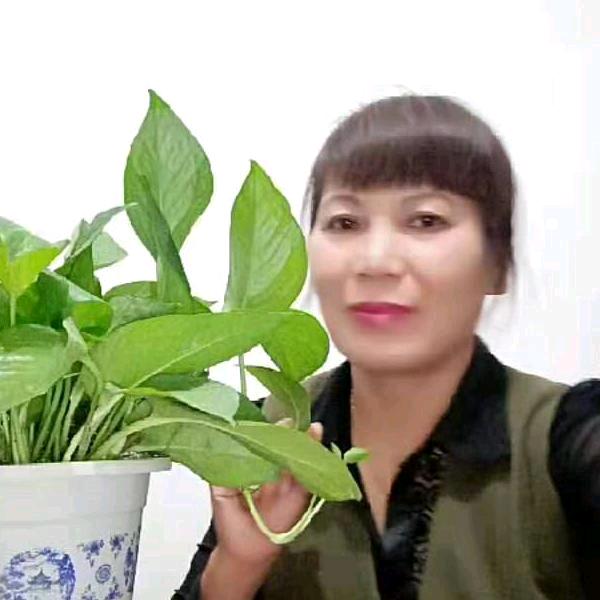 花梦好物