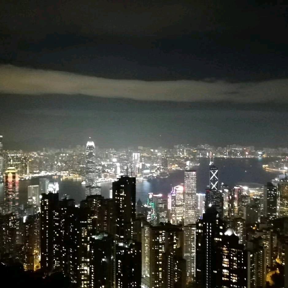博立