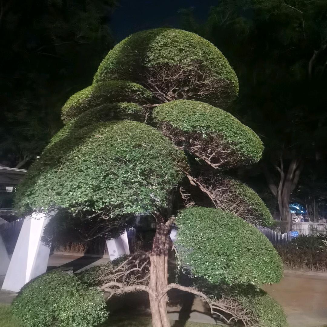 山西填半网络科技有限公司