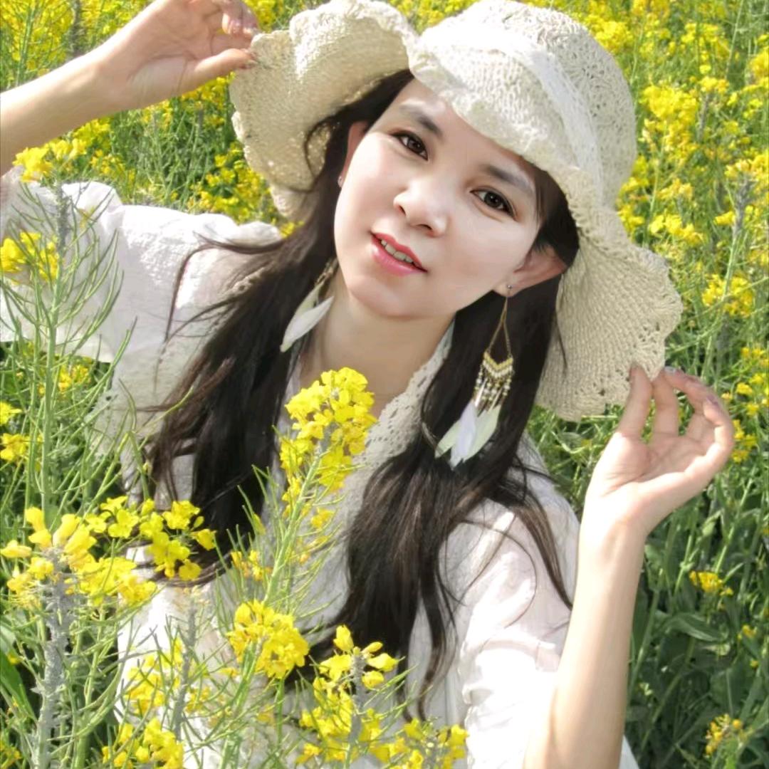 羊羊