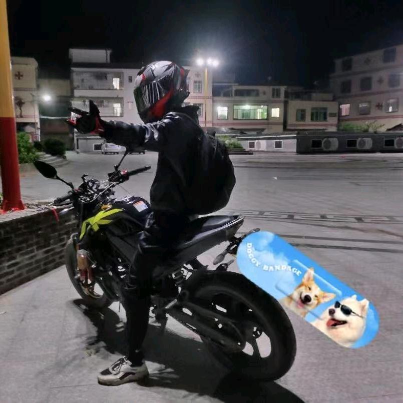 骚骑海猫