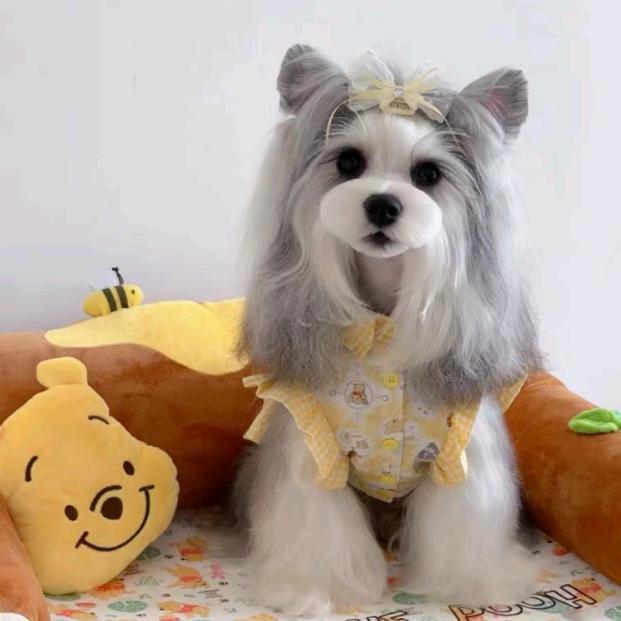 不乖℉巧的`小野猫
