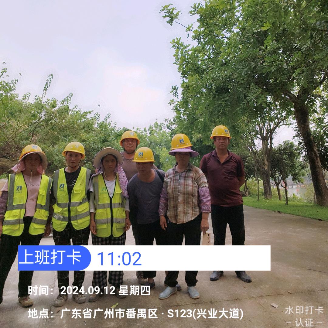 吴所谓
