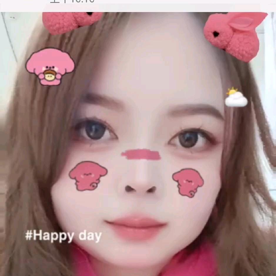 燕子飞飞