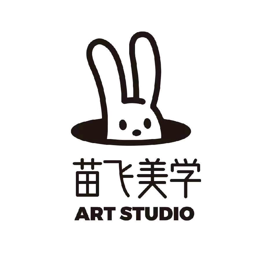 兰州苗飞美学
