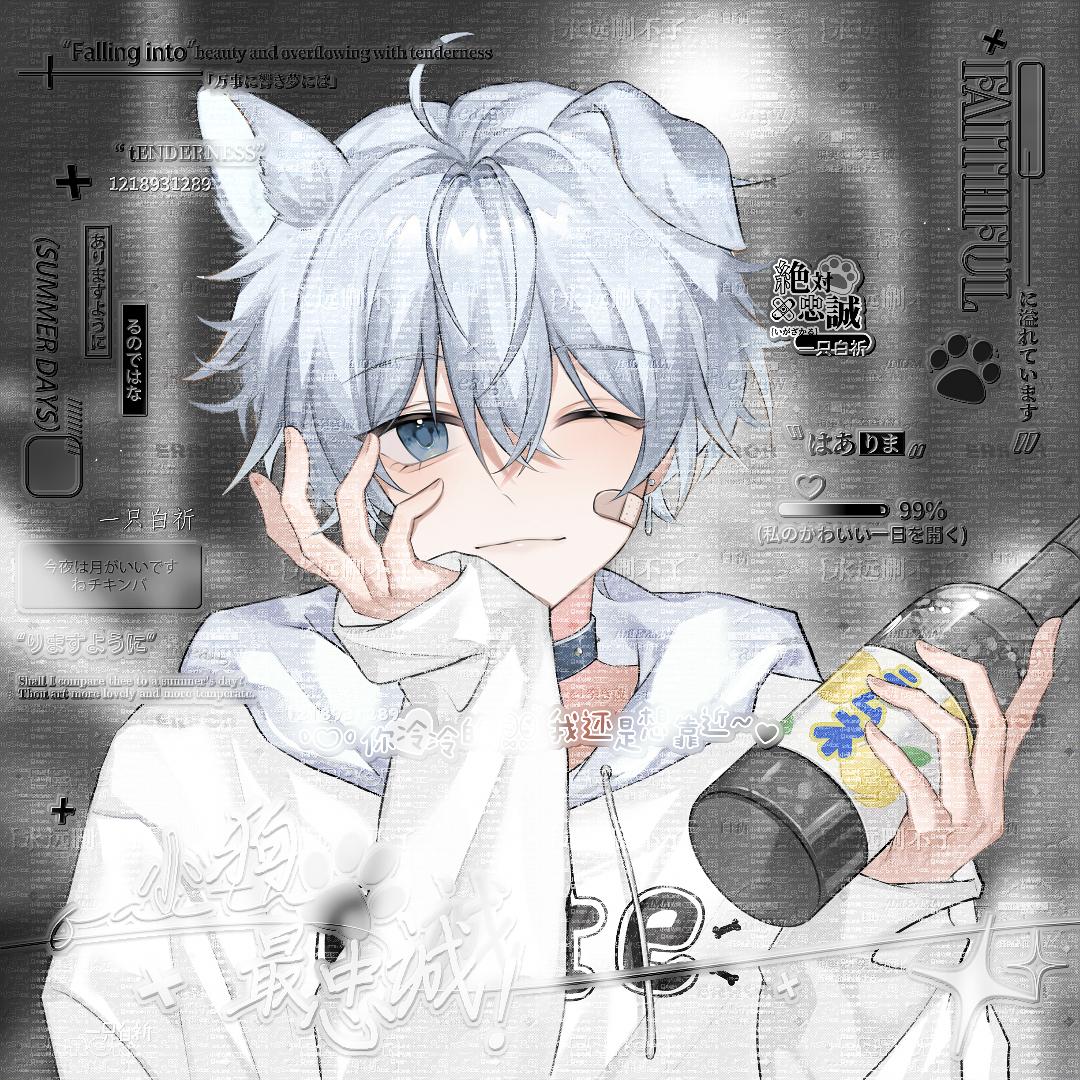 一只小白祈（猫箱同名）