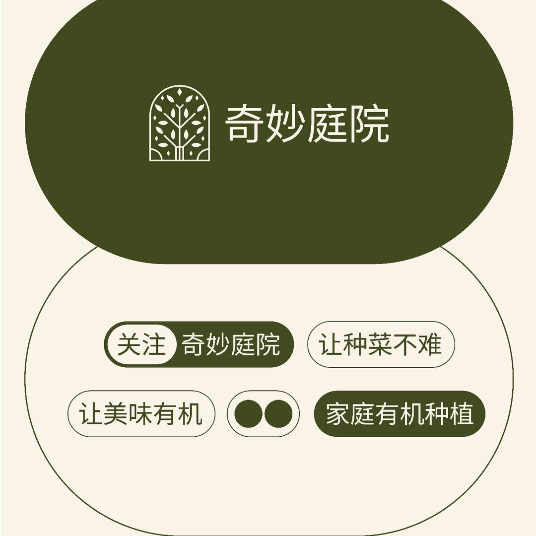 奇妙庭院