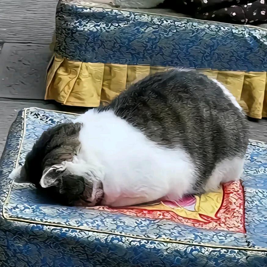 水獭逛吃逛吃