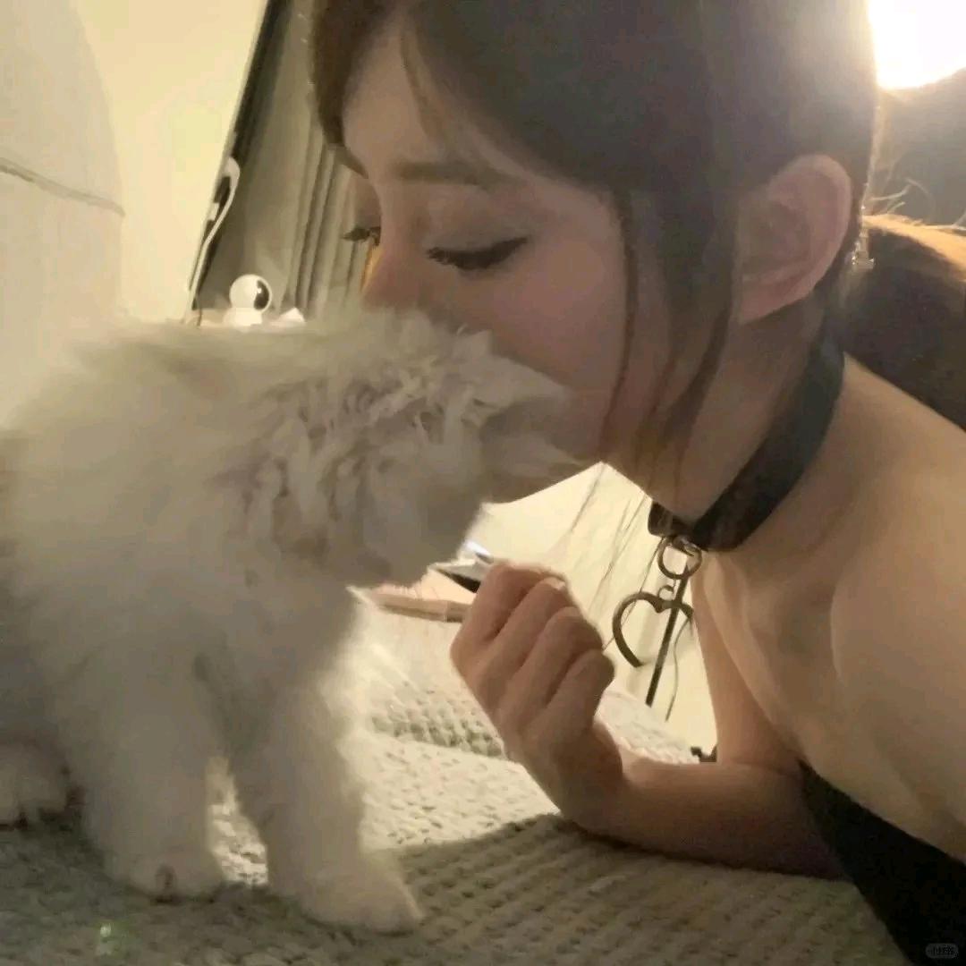 数数数数shu