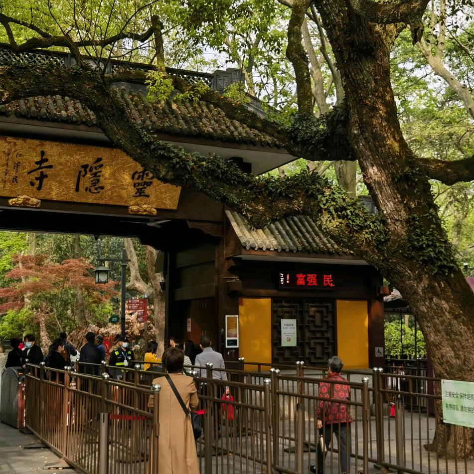 上海岚图梦想家车队！！！