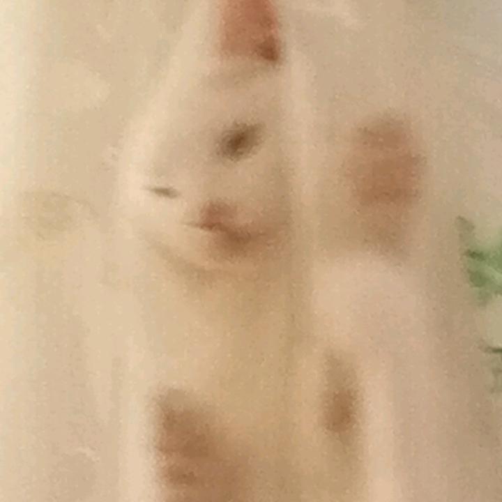佃