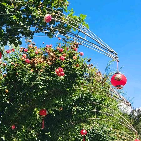 爱生活  爱旅游❤️