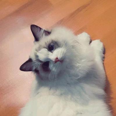 斯蒂芬