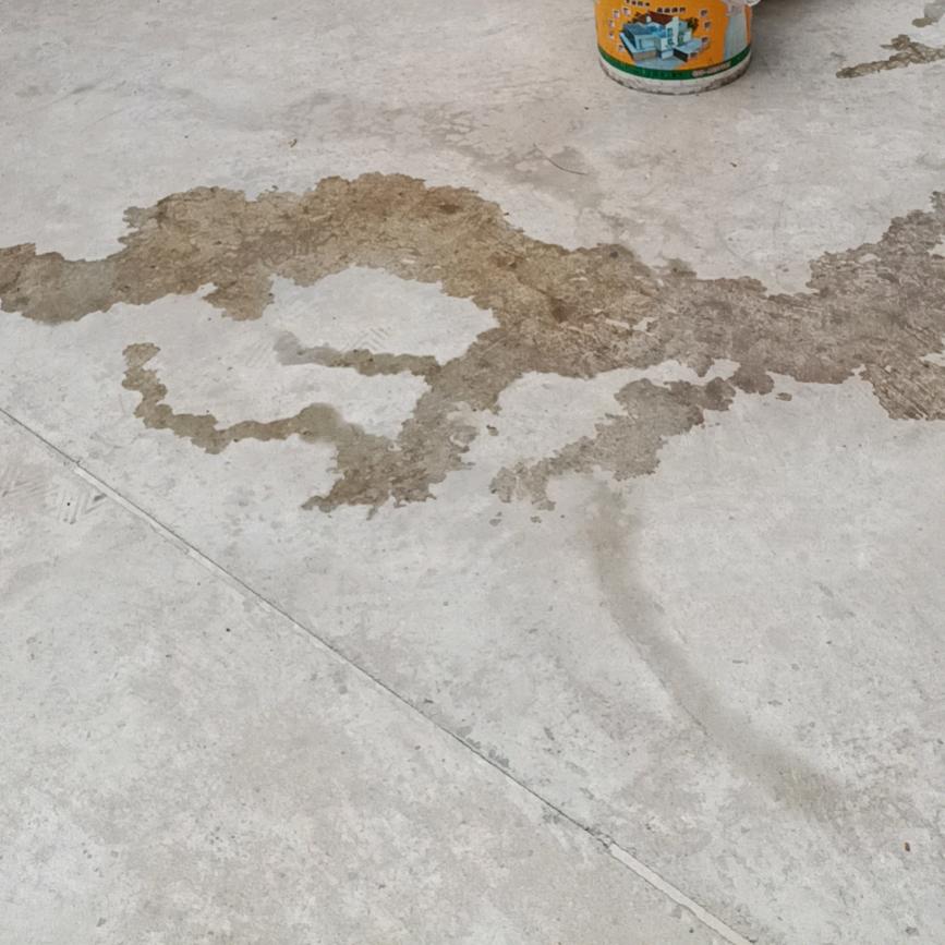 心疼你的心疼🍀