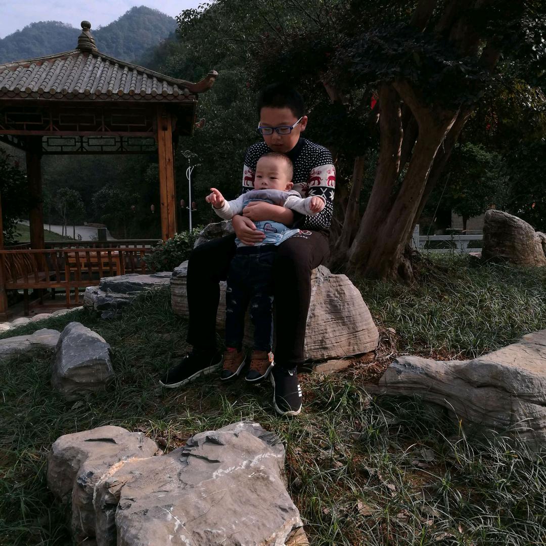 鑫球捌号