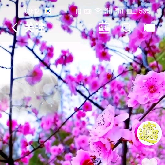 快乐不老