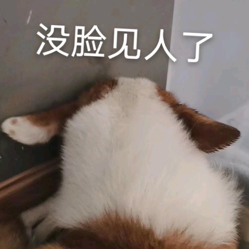 无趣