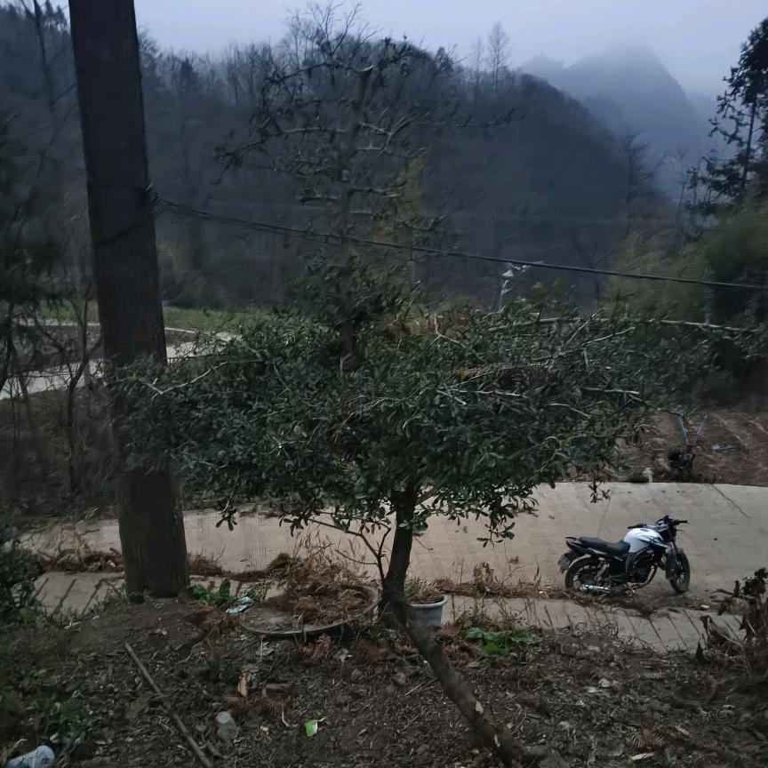 用户245800186970向远方前行。