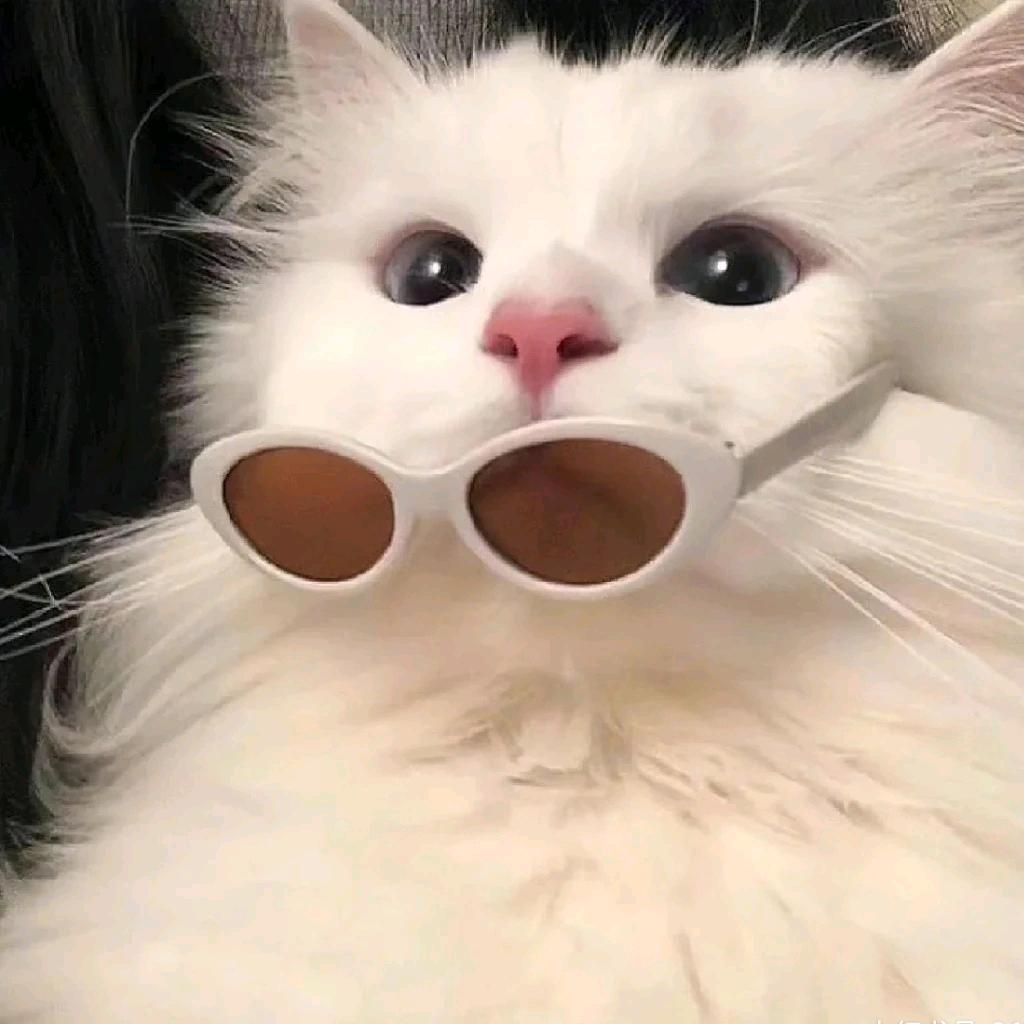 可可水子