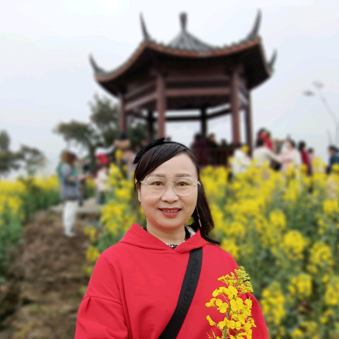 大蓉姐姐（筹备）