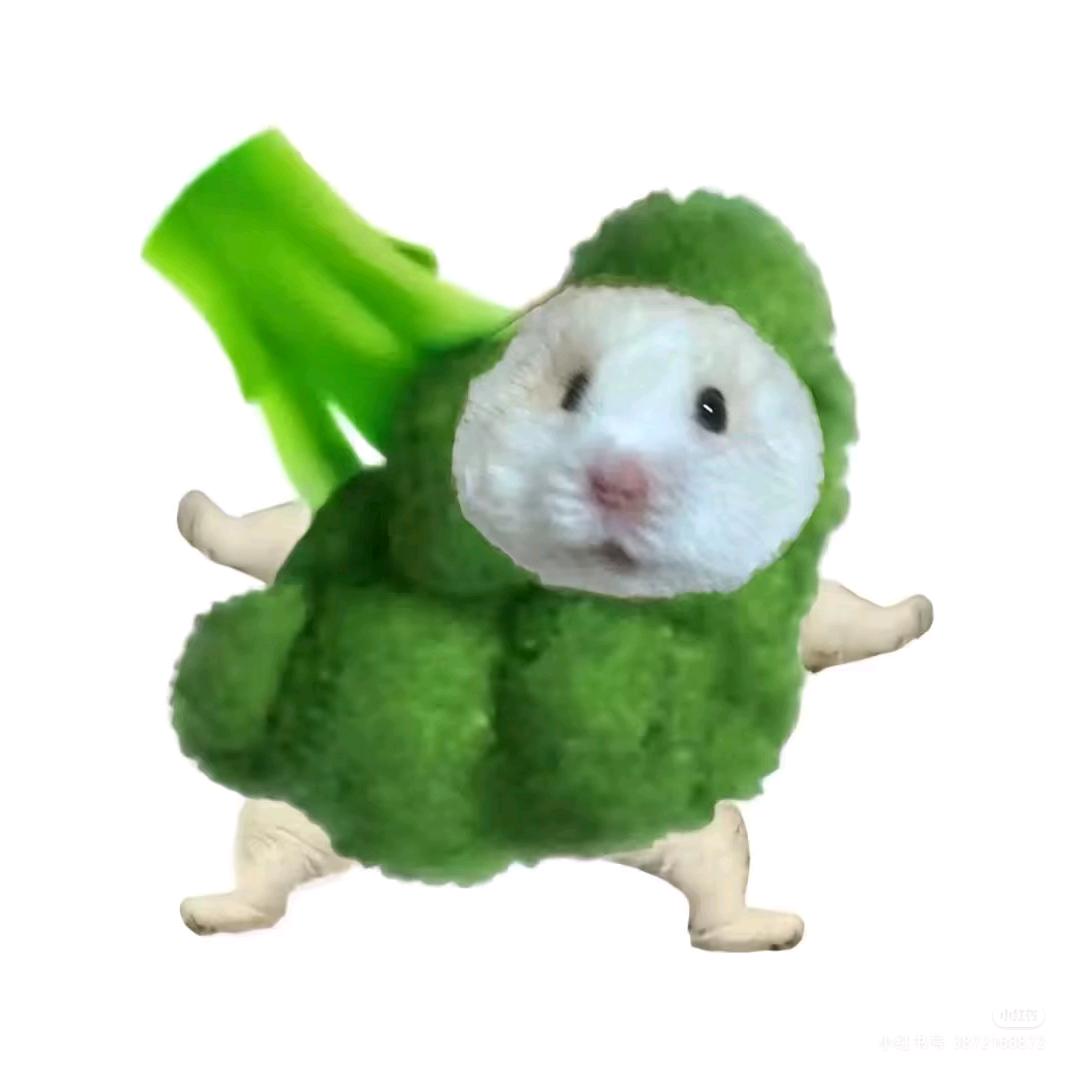 是肉菜吖