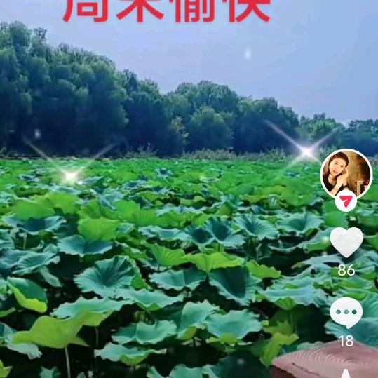 ！水中藕荷