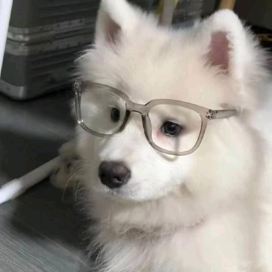 咕噜鱼