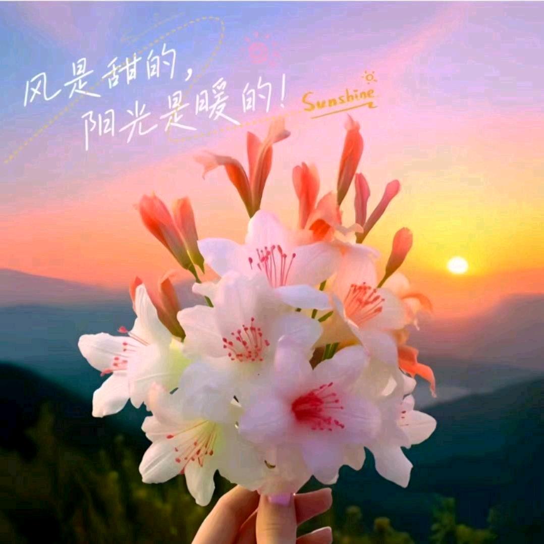 浅梦☀️