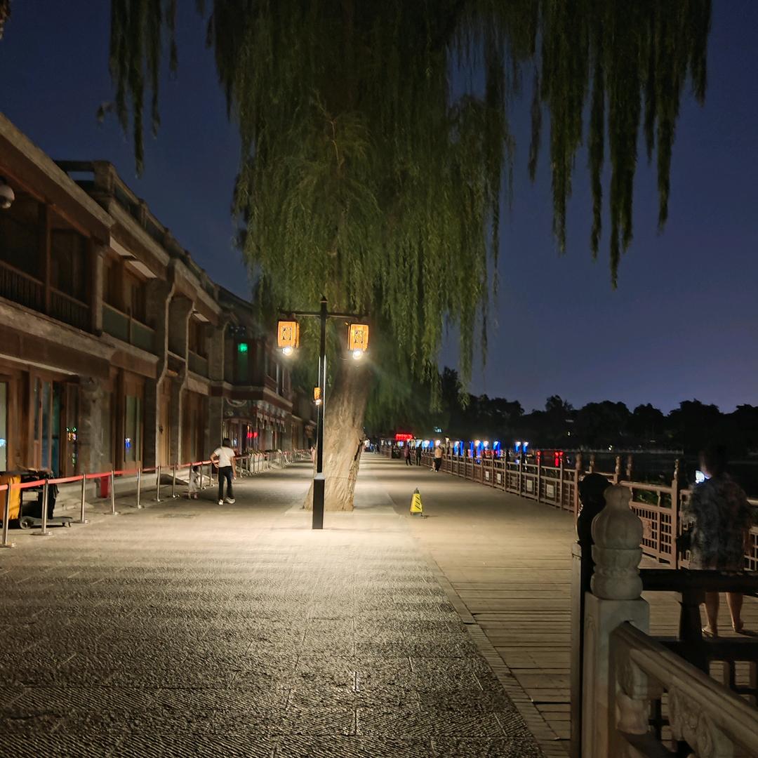 野野