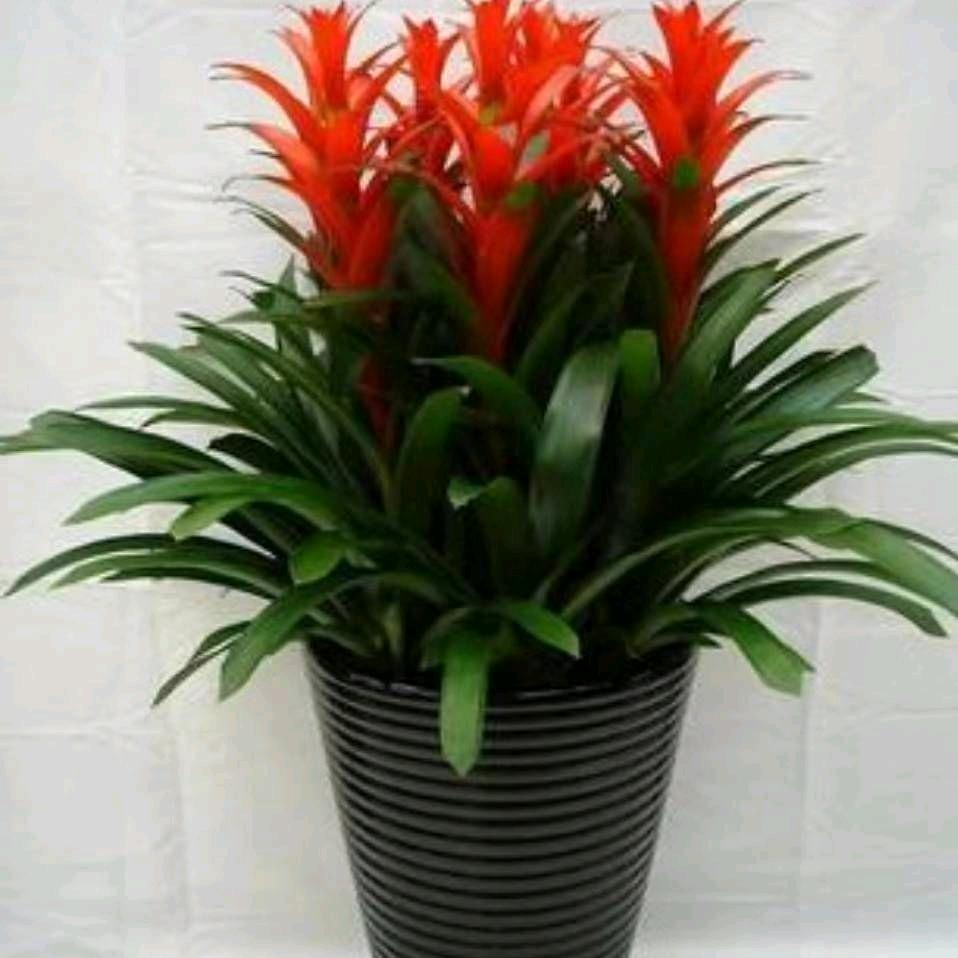 我的快乐就是你