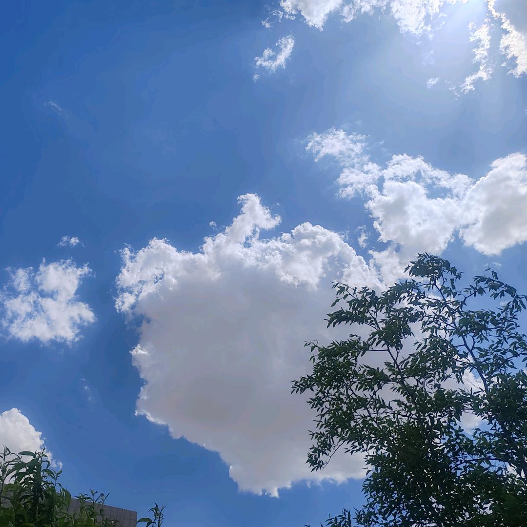 春