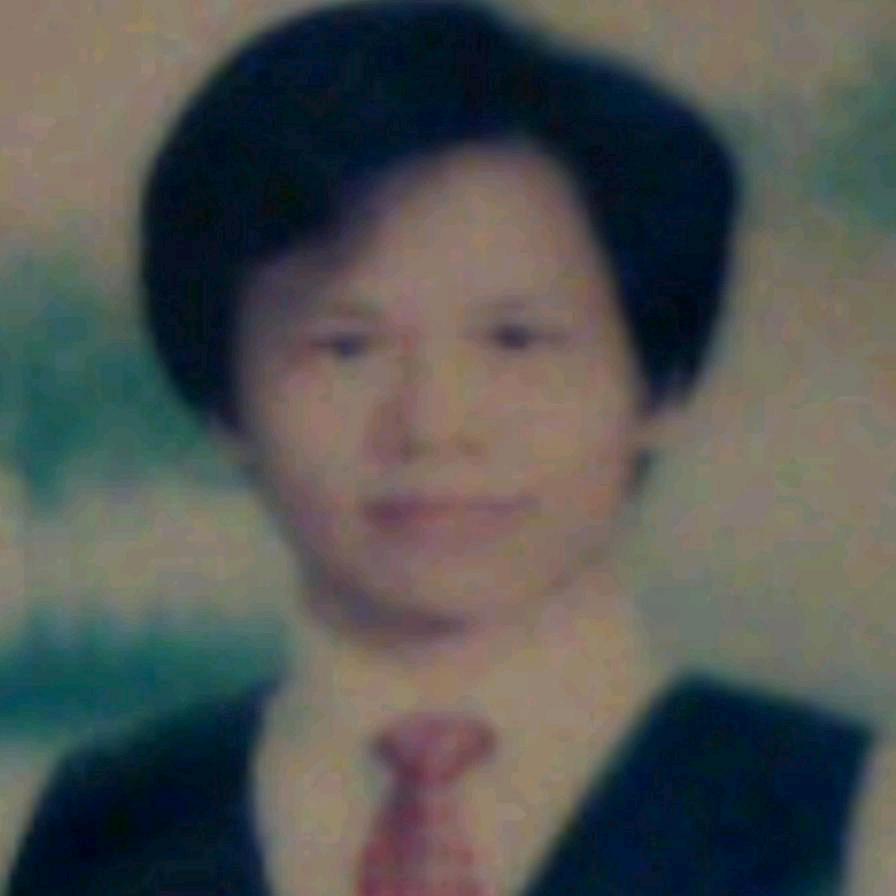 佳佳文艺