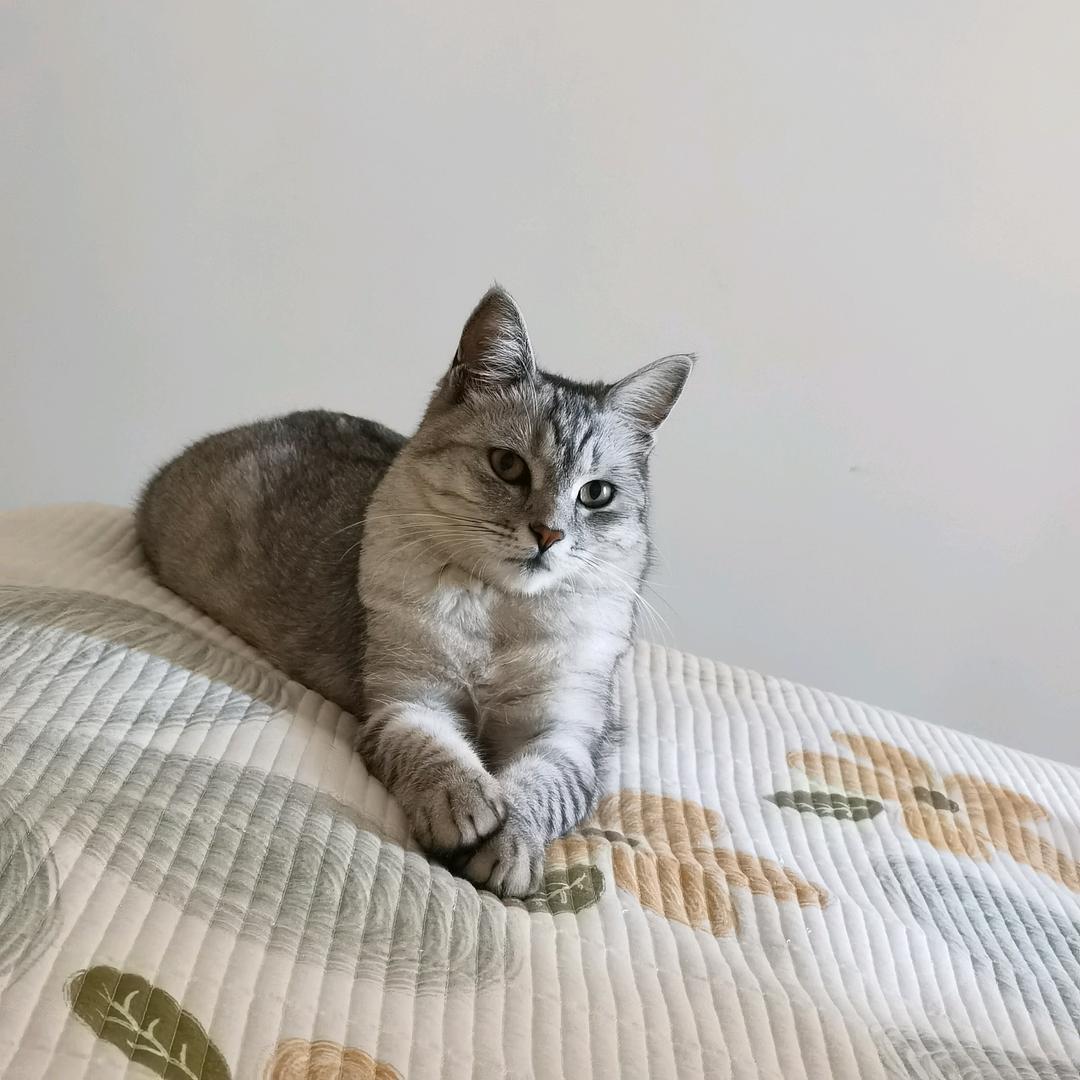 豆你玩