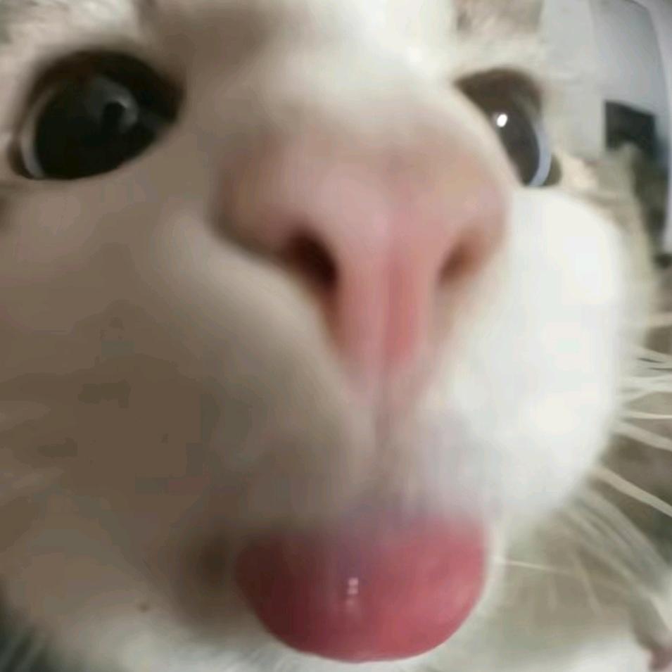 矜賜
