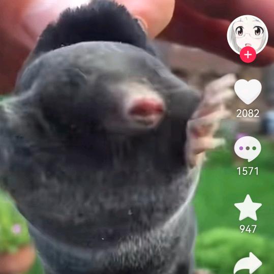 冥河摆渡人