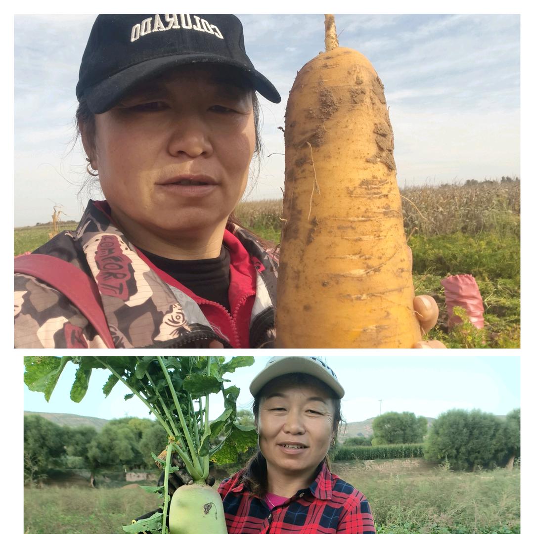 白云打工专业