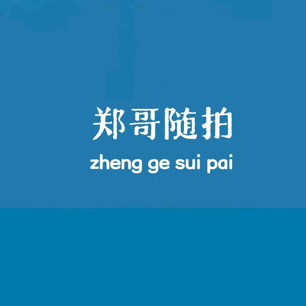 81年郑哥随拍