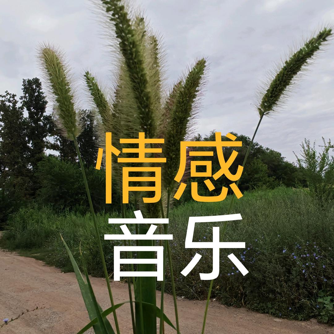 ღω🚬❤️揽月敬🍷风尘💞ωღಡ