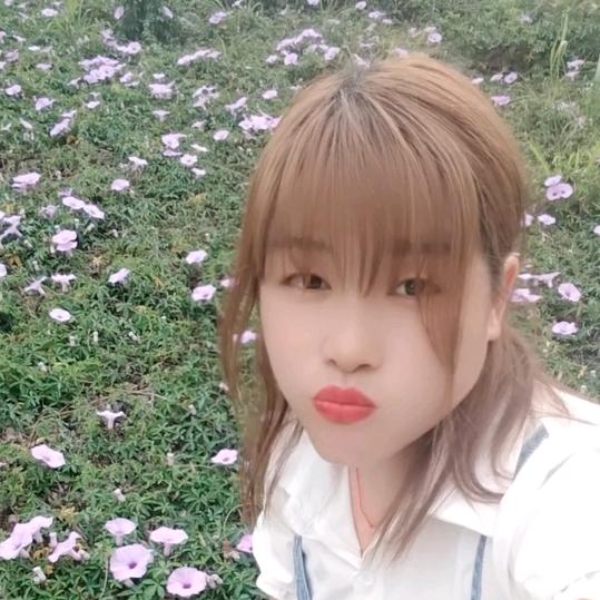 🌷小🌹凤🌻