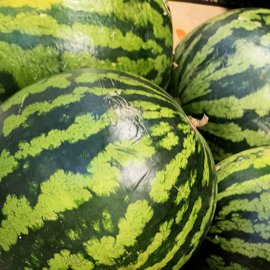 人生地不熟